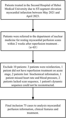 The diagnostic role of resting myocardial blood flow in STEMI patients after revascularization